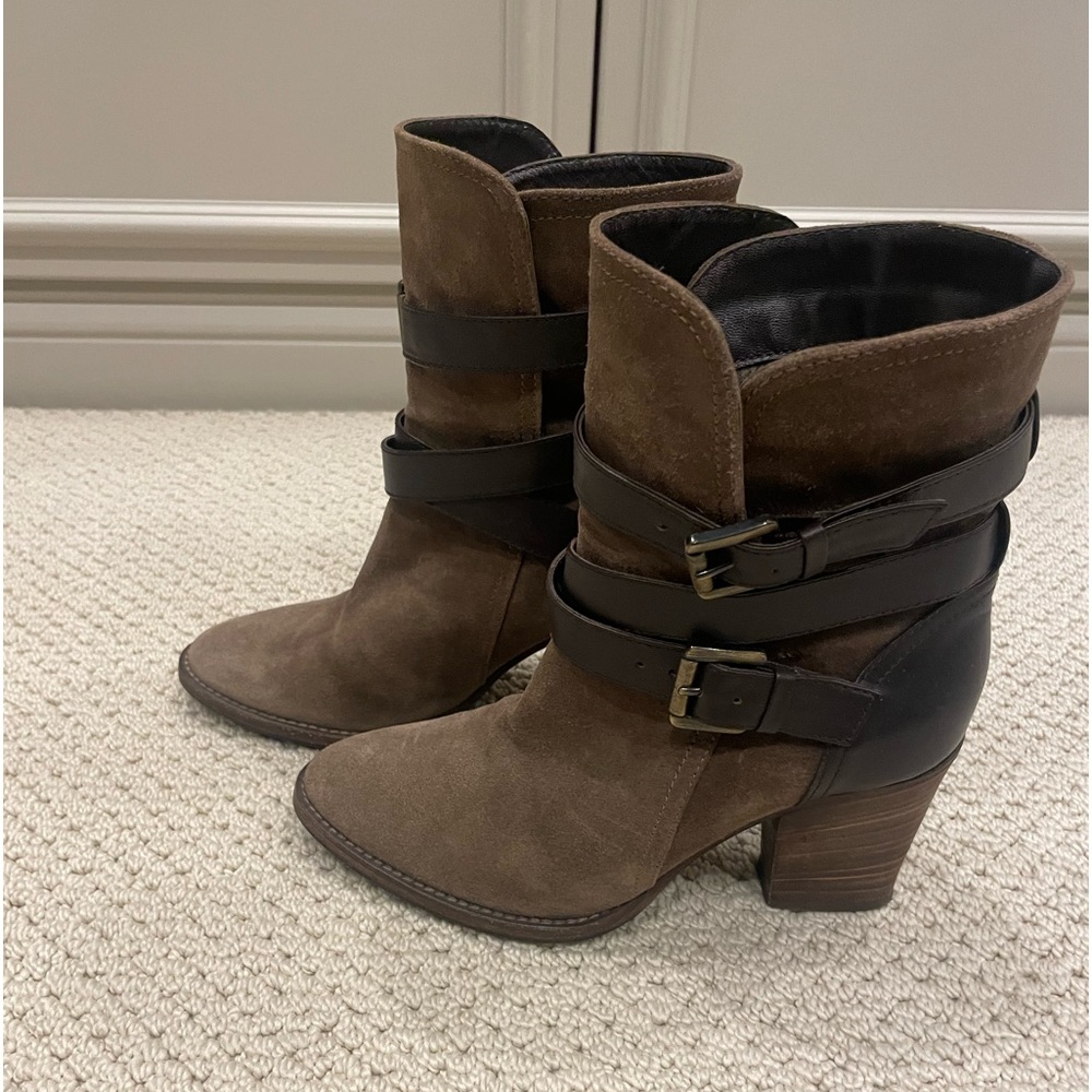 Aquatalia belted bootie in dark mushroom